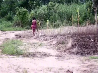The Wizard’s Betrayal